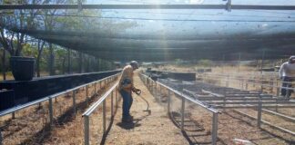 CECyTEO y COESFO reactivan el vivero del Plantel 14 “El Camarón”