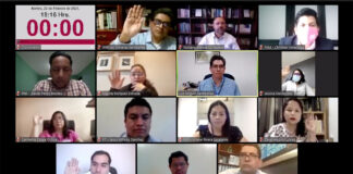 Válidas elecciones extraordinarias en San Petlapa y Tanetze: IEEPCO