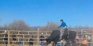 Desafían al COVID con jaripeos clandestinos en Oaxaca
