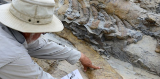 Chazumba: la tumba de criaturas gigantes en Oaxaca que vivieron hace 25.000 años