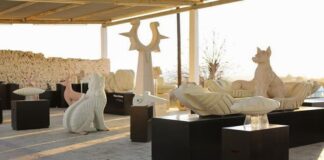 Oaxaca está lleno de talento que debe ser compartido con el mundo: IMM