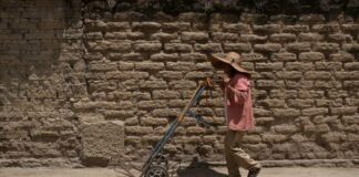 Oaxaca removerá a ediles que no eviten propagación del Covid-19