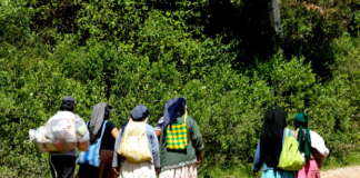 Urge DDHPO reforzar medidas sanitarias por Covid-19 en comunidades indígenas