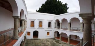 Un respiro para el MACO de Oaxaca