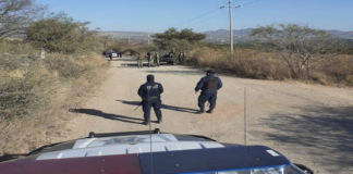 Despliegan Fuerzas Estatales, Federales y Municipal operativo en la región de la Mixteca
