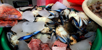 Por COVID-19, suspenden “Empézcate 2021”