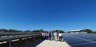 INPI y CFE acuerdan operación planta eléctrica solar en Oaxaca