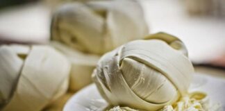 Quesillo el verdadero nombre del “queso Oaxaca”