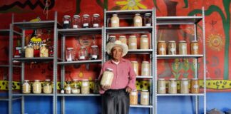 Oaxaca resguarda semillas milenarias