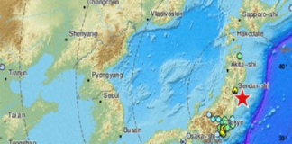 Un sismo de 7,1 grados en la escala de Richter sacudió a Japón: hay 20 heridos