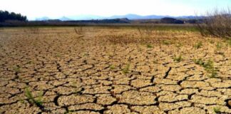 Aún con pandemia, 2020 fue el año más cálido en México: SMN