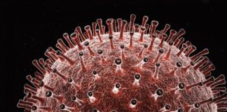 Analizan posible variante mexicana de coronavirus en casos de Jalisco