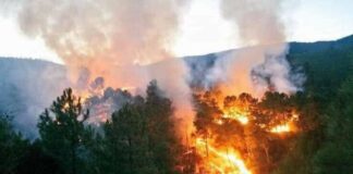 Zonas serranas de Oaxaca se consumen por incendios forestales