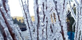 Declaran en emergencia a 28 municipios en Oaxaca