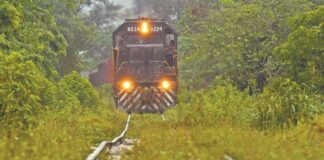 Fonatur construirá 10 parques solares en 6 estados, entre ellos Oaxaca