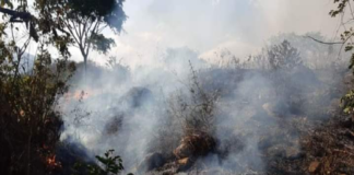 Pobladores piden apoyo para sofocar incendio en Xadani