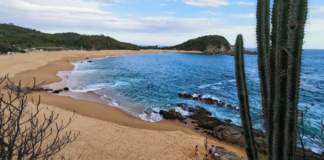 Advierten ambientalistas que Oaxaca puede perder categoría del estado más diverso del país