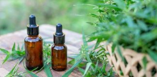 Marihuana: ¿Cuáles son los usos medicinales del aceite de cannabis?