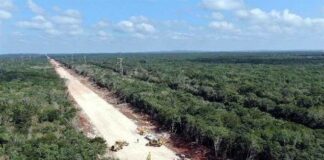 Financiará Tren Maya pensiones militares