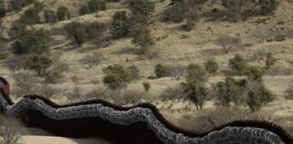 EU halló más de 100 mil migrantes en la frontera con México en febrero