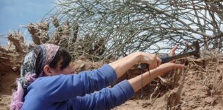 Las mujeres, capaces de sacar adelante al país