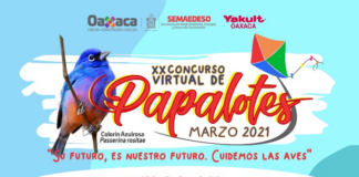 Niñez de Oaxaca echará a volar su imaginación en el concurso de papalotes