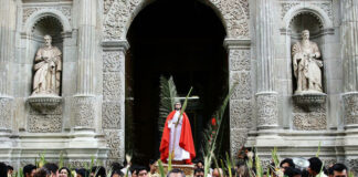 SSO llama a no realizar o acudir a eventos masivos