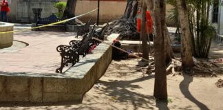 Muere en pleno centro de Oaxaca