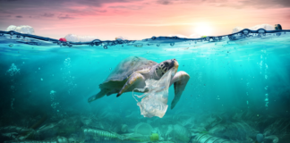 Oceana urge al Senado a detener la contaminación plástica