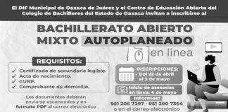 Abiertas, las inscripciones para cursar el Bachillerato Abierto Mixto en línea