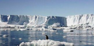 Incendios, sequías, deshielos… el mundo “al borde del abismo”: ONU