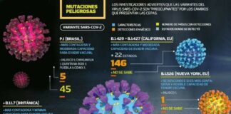 Identifican 5 cepas de COVID-19 en México