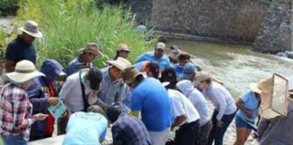 IPN desarrolla app para evaluar calidad del agua en Puebla y Oaxaca