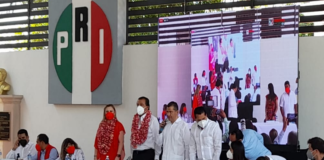 Eviel Pérez Magaña nuevo presidente del PRI en Oaxaca
