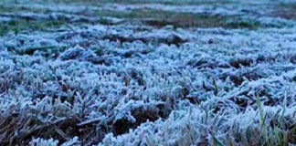 Heladas y tormentas tropicales; retos de la agricultura mexicana ante cambio climático