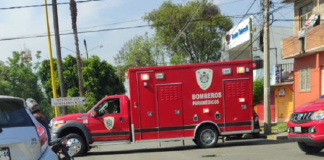 Fallece persona que se encontraba podando una palmera en la colonia Reforma