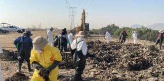 Hasta en panteones, la búsqueda de casi 87 mil desaparecidos