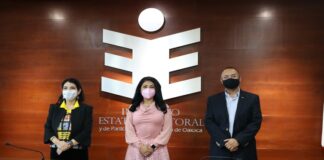 Aprueban plan anual de trabajo 2021 del Observatorio de Participación Política de las Mujeres