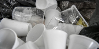 Analiza Senado eliminar el uso de plásticos desechables en todo México