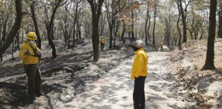 Activos, 57 incendios; ven causa en cambio climático