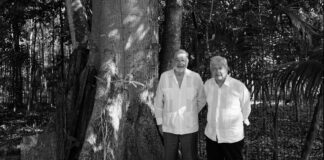 Se reúne AMLO con Carlos Slim para evaluar obras del Tren Maya