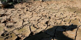 710 millones de niños viven en 45 países con mayor riesgo de sufrir impacto del cambio climático: ONG