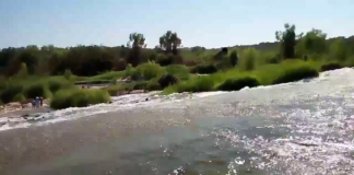 Realizan búsqueda de persona desaparecida en el río Verde