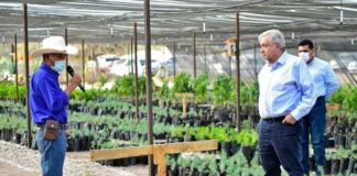 El helicóptero Ingenuity de la NASA realizó su primer vuelo en Marte