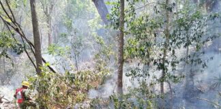 Incendio en san Miguel del Puerto no da tregua; lleva 7 días