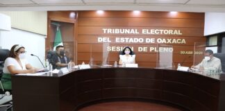 Vulneró funcionario del Congreso del Estado derecho de diputada: TEEO