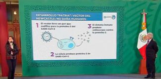 Buscan voluntarios para ‘Patria’, vacuna mexicana contra Covid