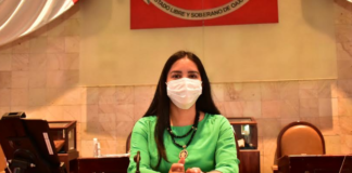 Solicita diputada Elisa Zepeda a COESFO atender incendio en la Cañada