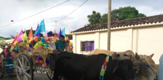 Aún con pandemia, campesinos festejan a San Isidro Labrador
