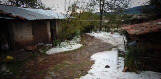 Lluvias dejan afectaciones en 3 regiones de Oaxaca